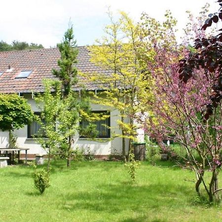 Pension Haus Zum Schlehenberg Bayreuth Kültér fotó