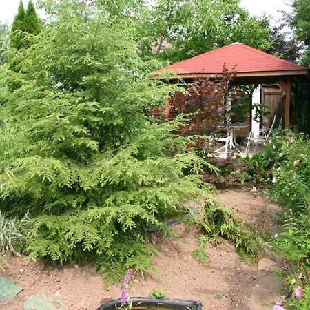 Pension Haus Zum Schlehenberg Bayreuth Kültér fotó